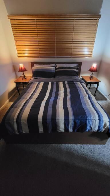 Entire One Bedroom Apartment Annandale Zewnętrze zdjęcie