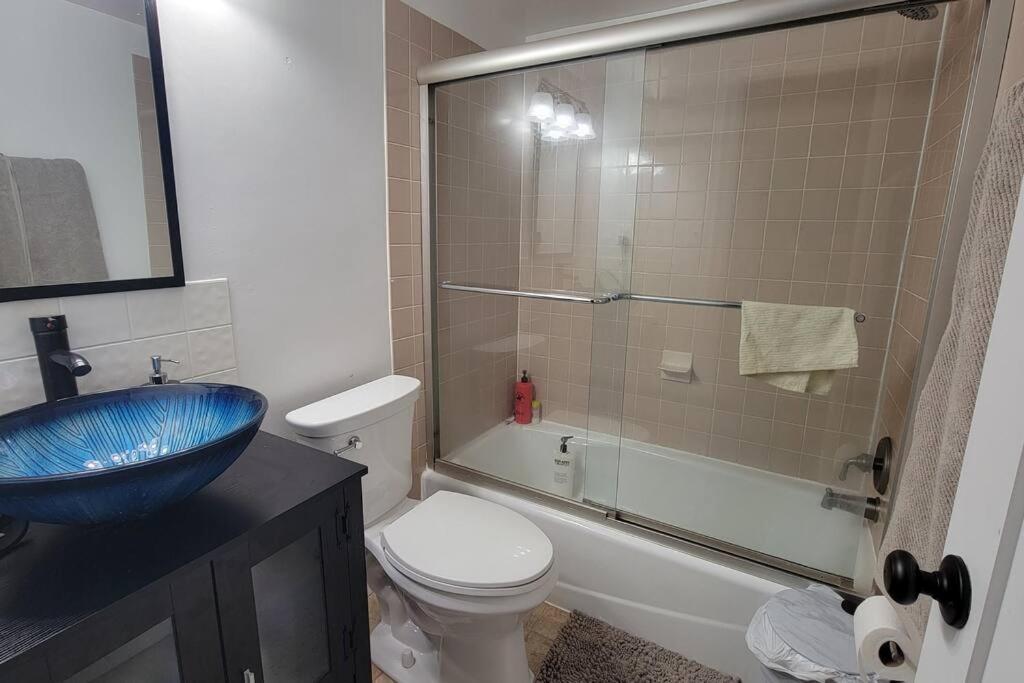 Entire One Bedroom Apartment Annandale Zewnętrze zdjęcie