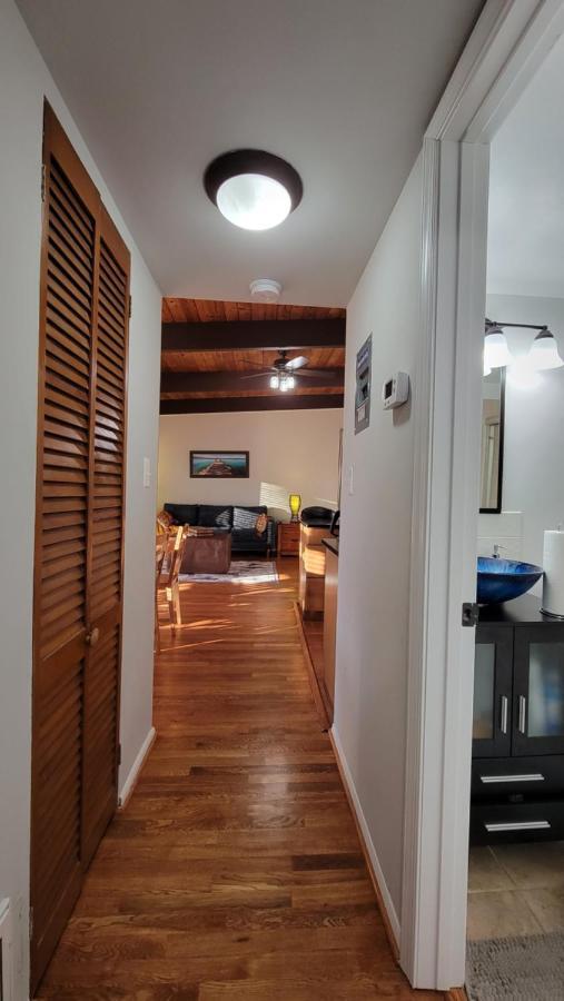 Entire One Bedroom Apartment Annandale Zewnętrze zdjęcie