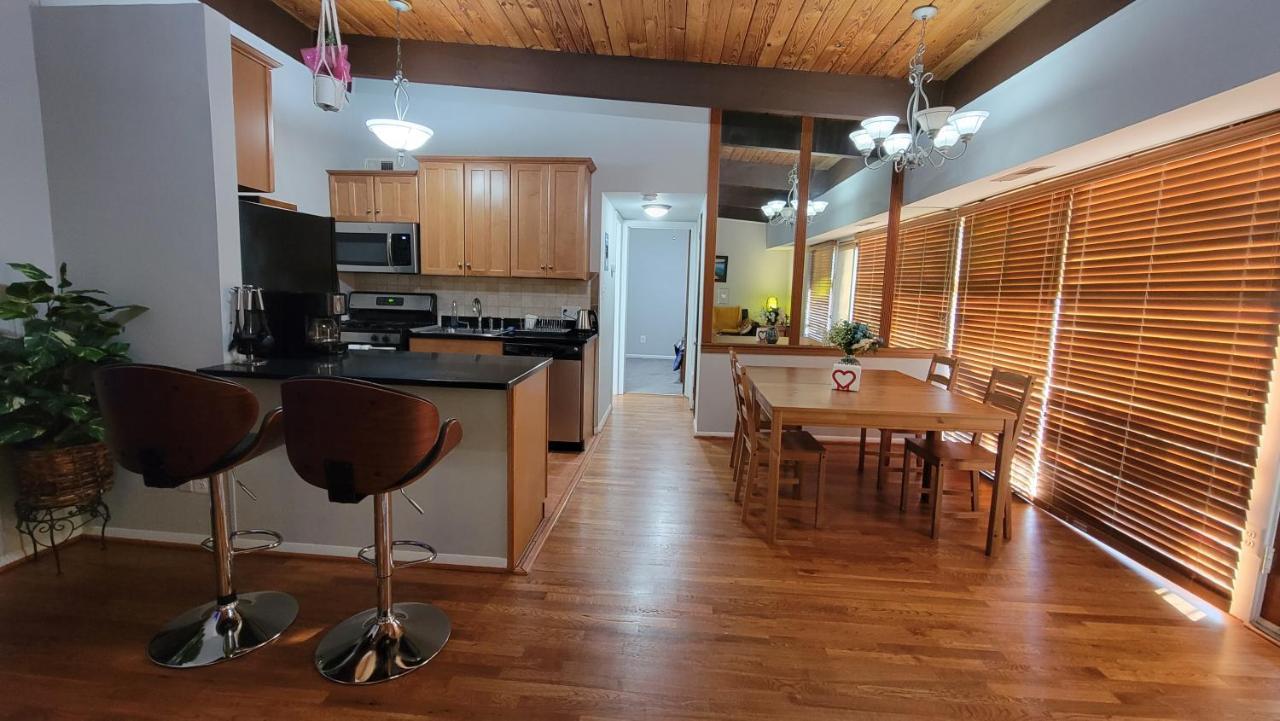 Entire One Bedroom Apartment Annandale Zewnętrze zdjęcie