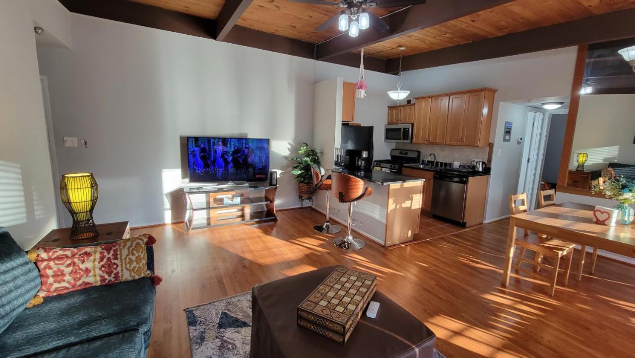 Entire One Bedroom Apartment Annandale Zewnętrze zdjęcie
