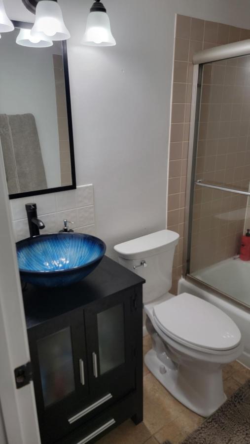 Entire One Bedroom Apartment Annandale Zewnętrze zdjęcie